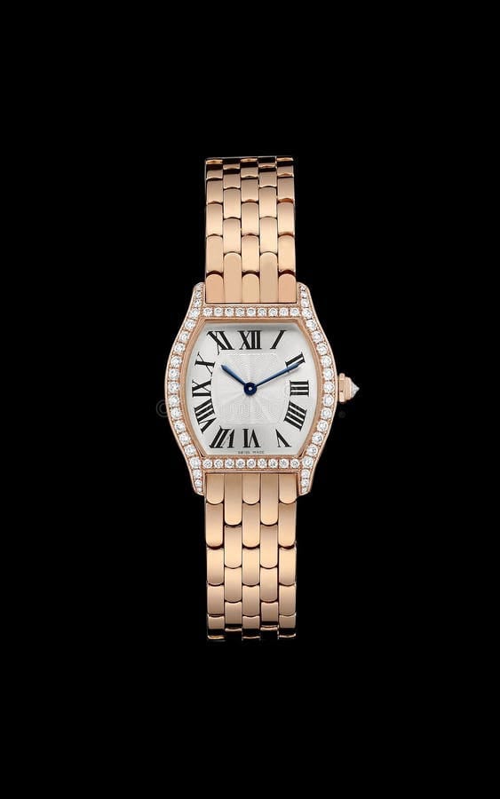 Ladies watch